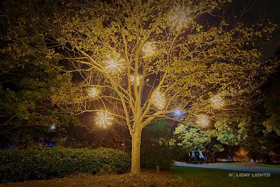 Professional tree wrapping services in Manchester, New Hampshire — Holiday Tree Wrapping