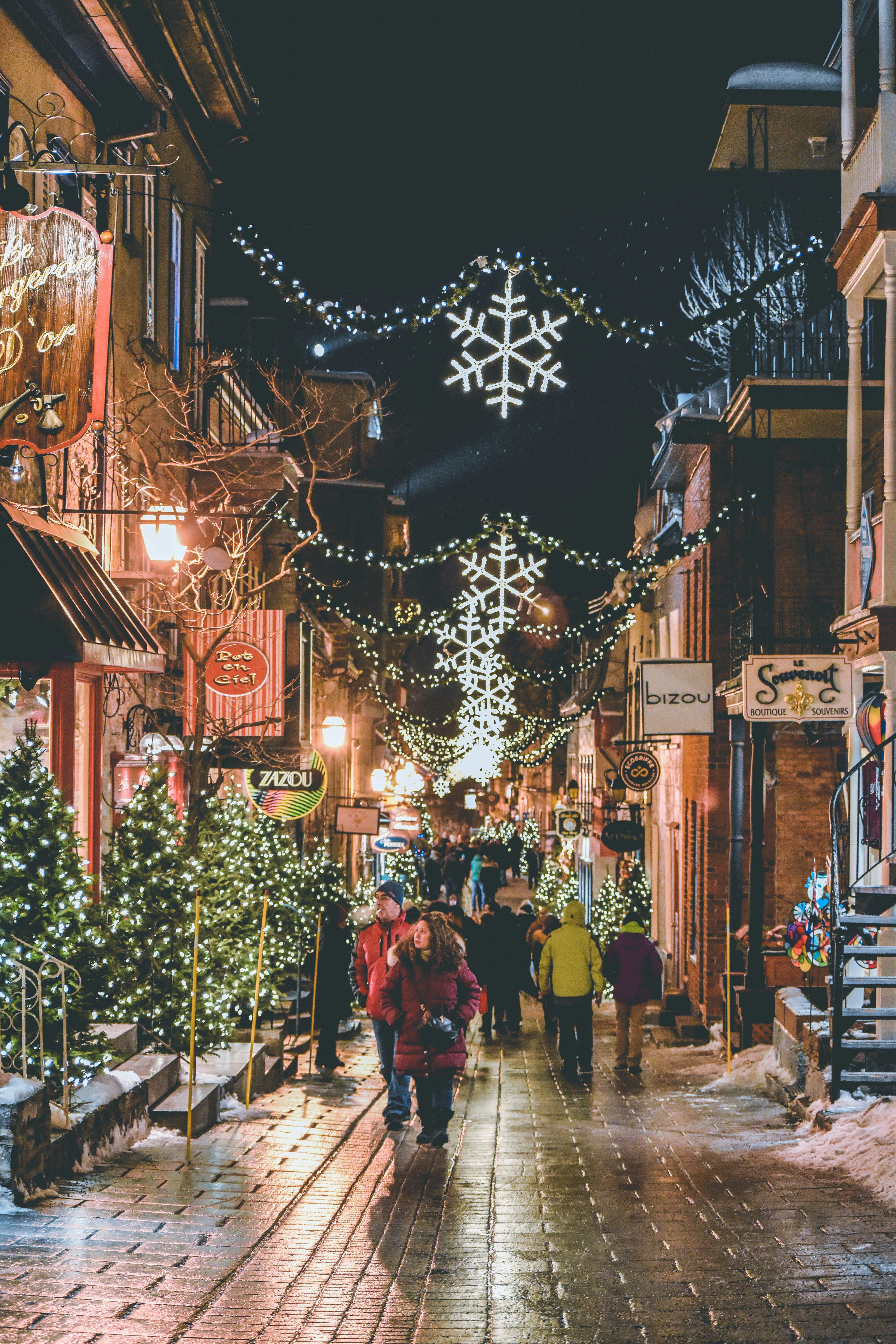 Professional Christmas Light Installation in New Hampshire